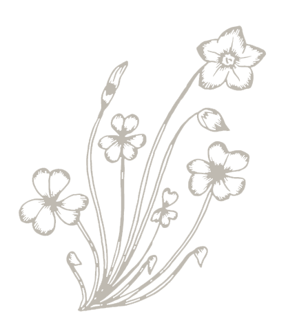 Illustration Blume