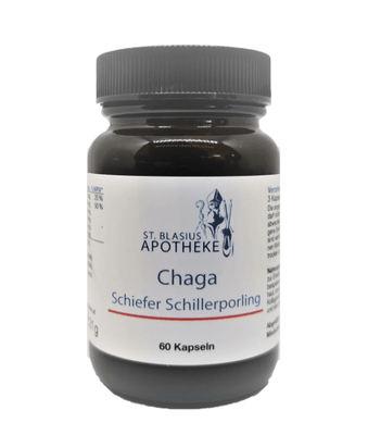 Chaga – Der schiefe Schillerporling