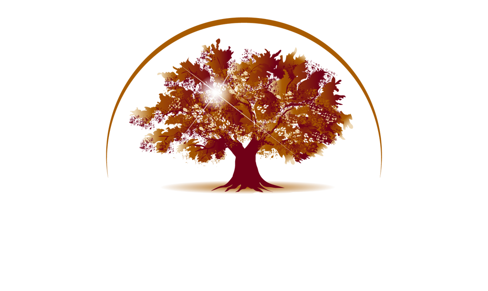 logo-image