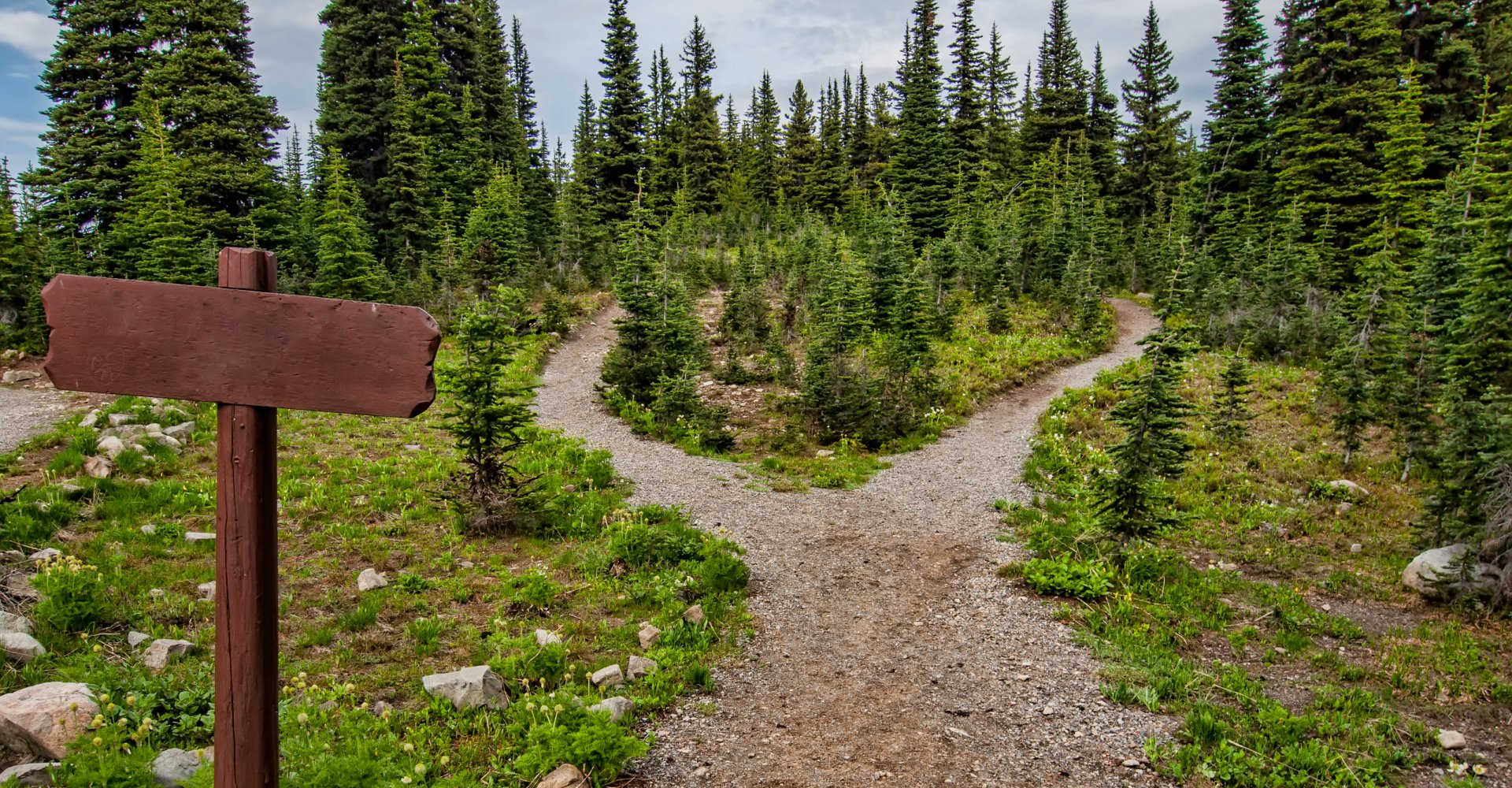 There is a wooden sign in the middle of a dirt road.
