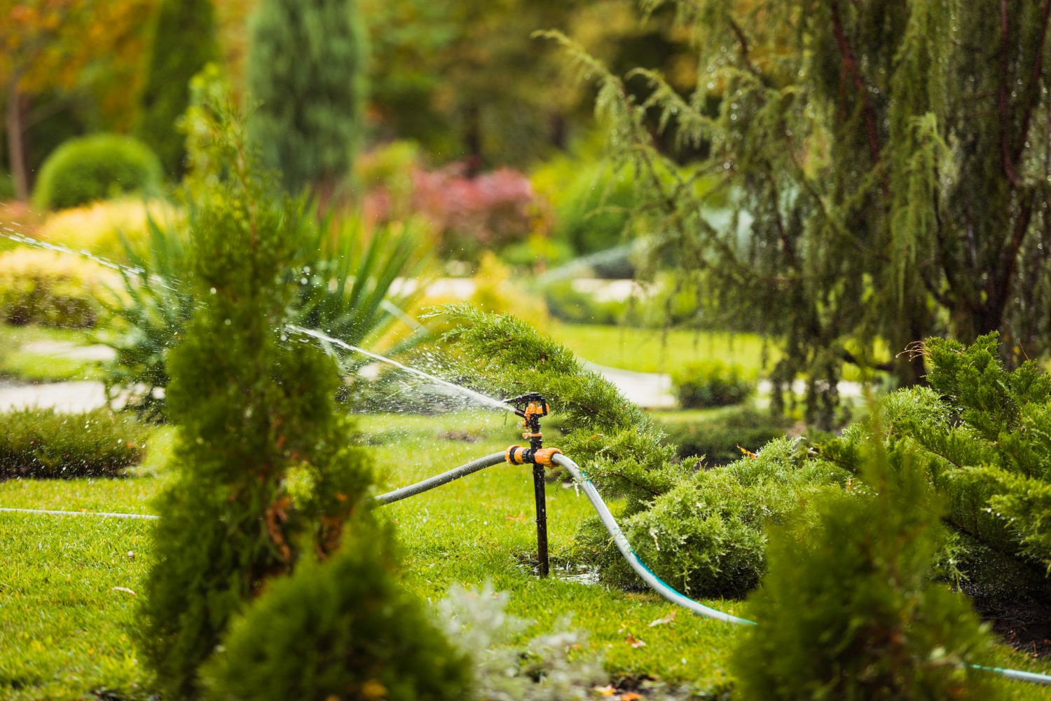 A sprinkler is spraying water on a lush green lawn in a park.