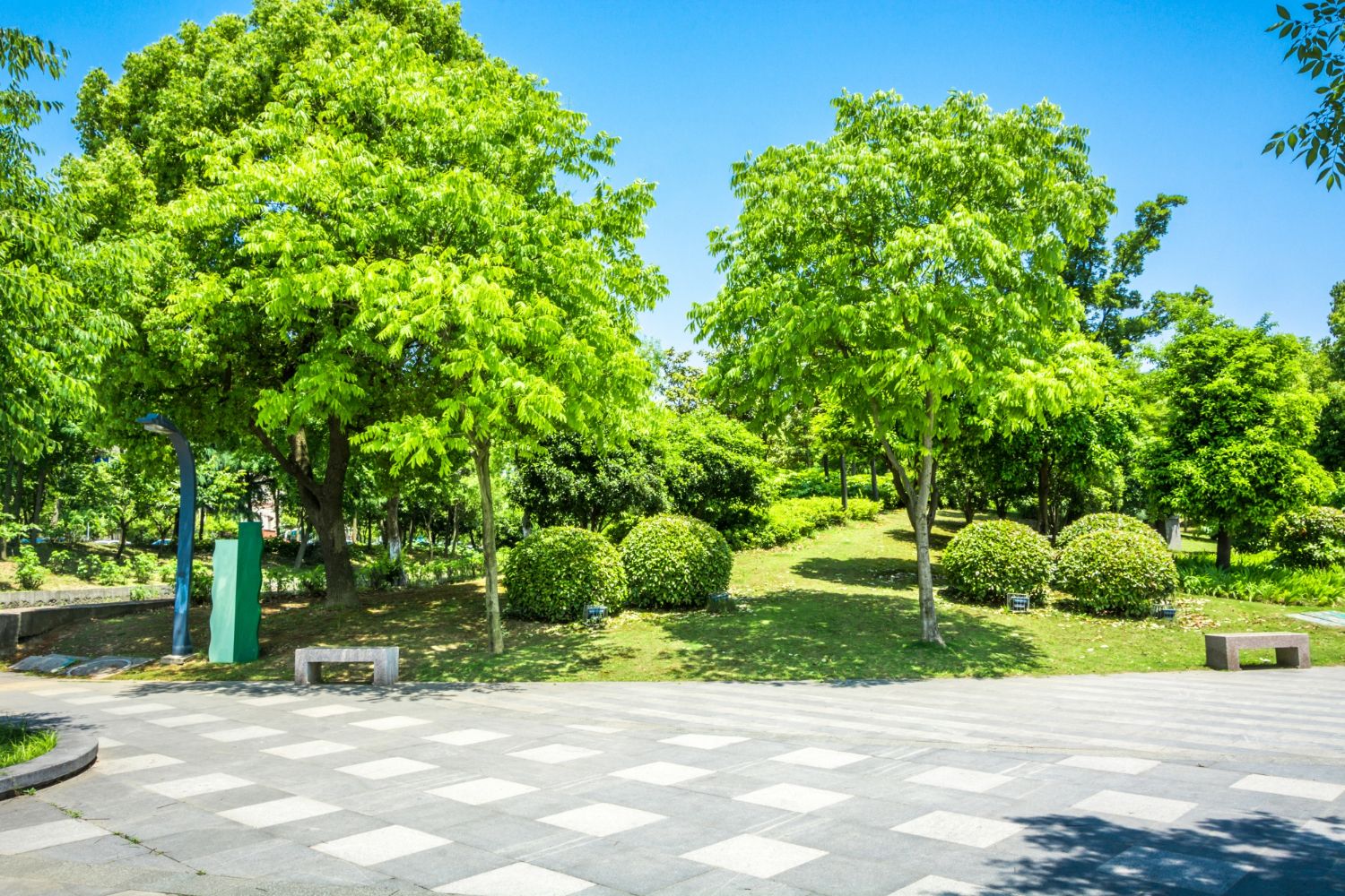 A park filled with lots of trees and bushes on a sunny day.
