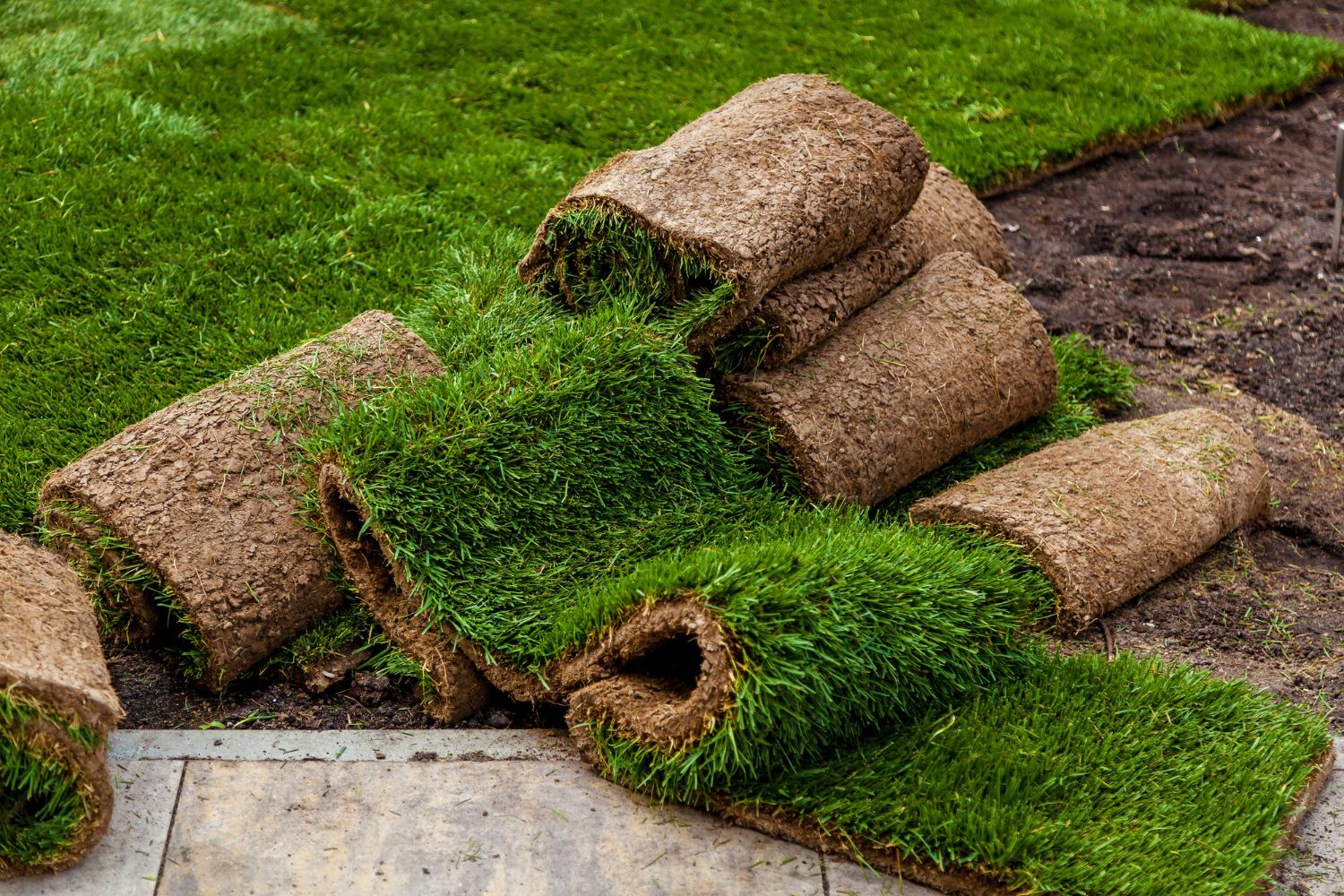 Rolls of turf are stacked on top of each other on the ground.
