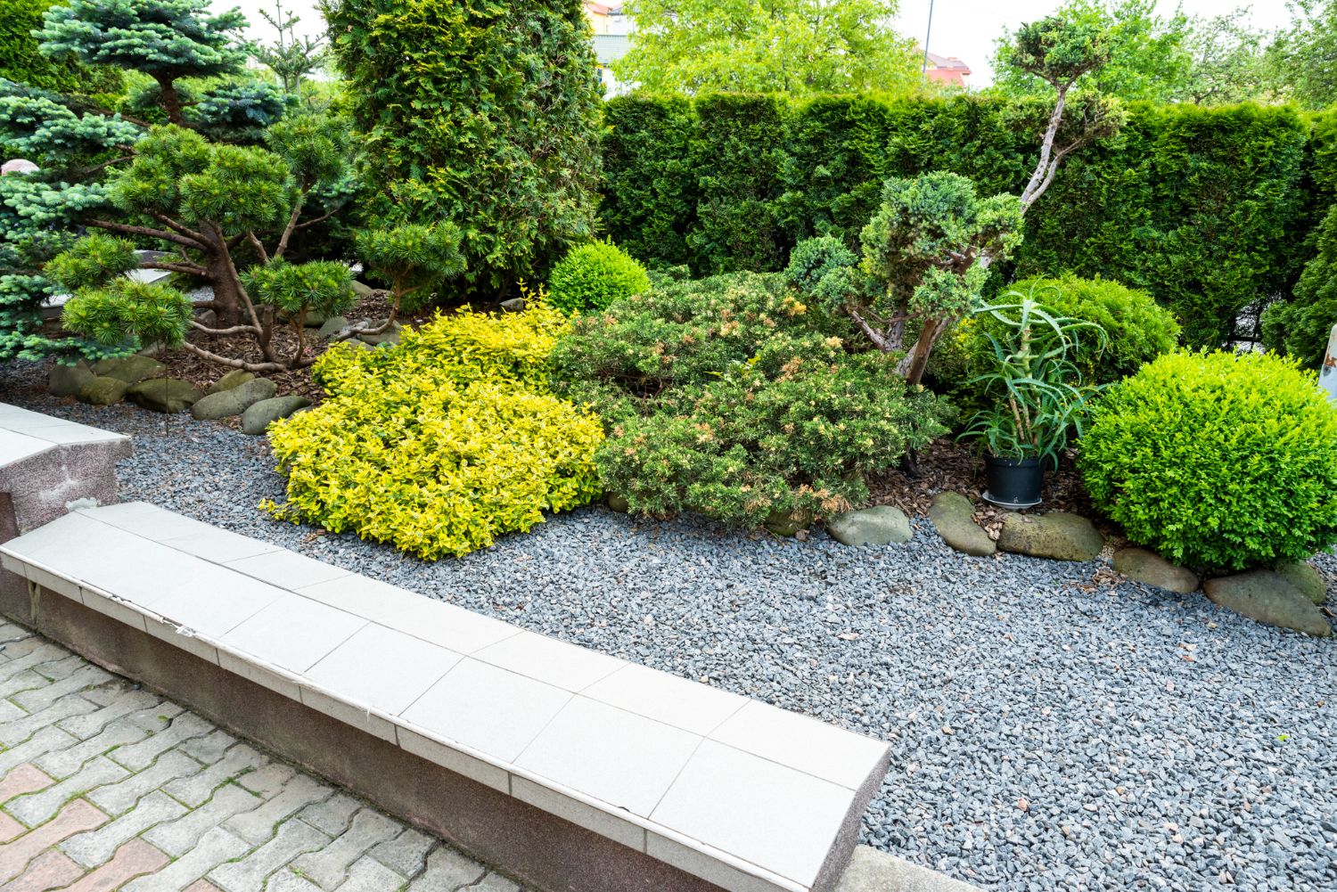 There is a bench in the middle of the garden.
