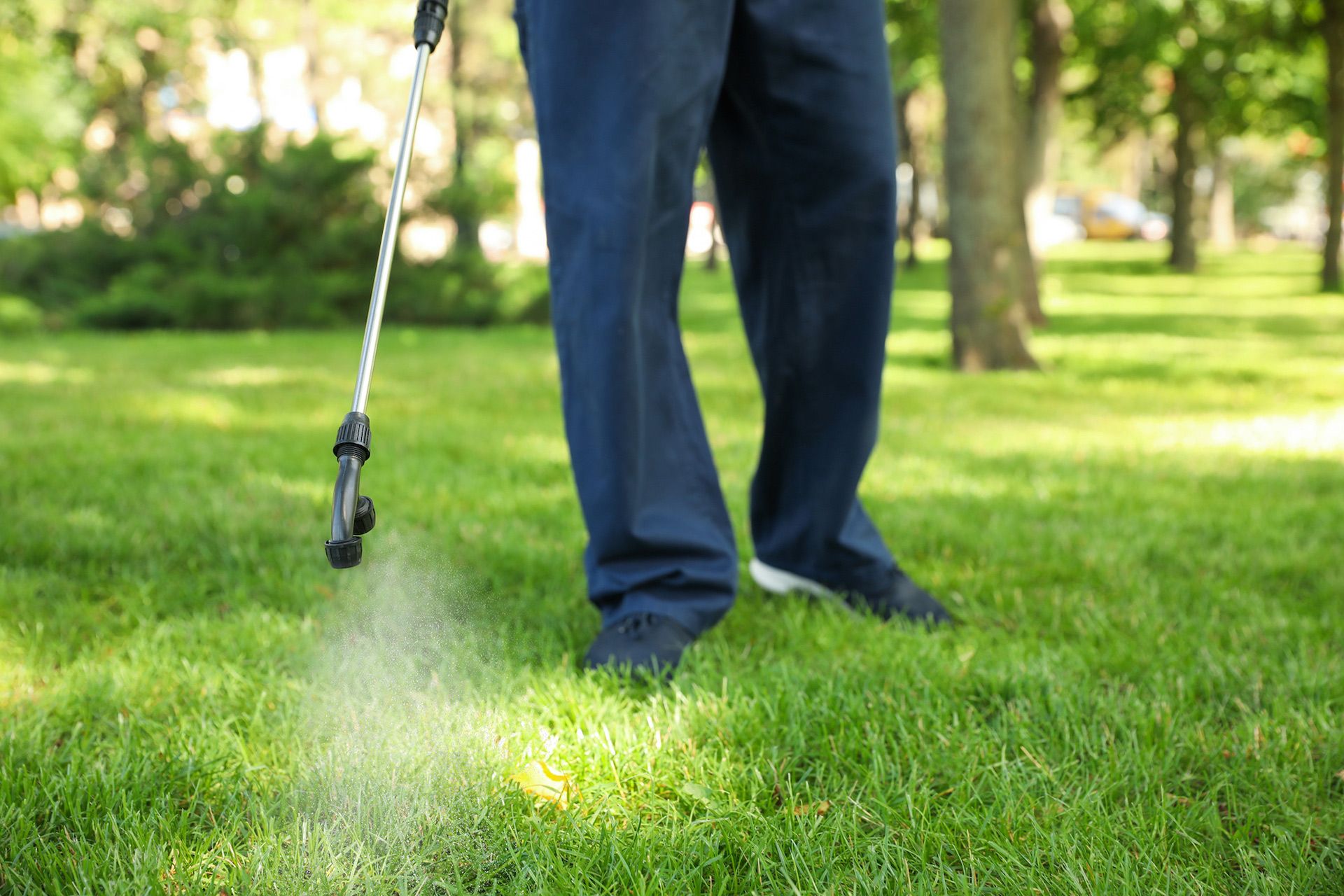 A man is spraying a lawn with a sprayer.