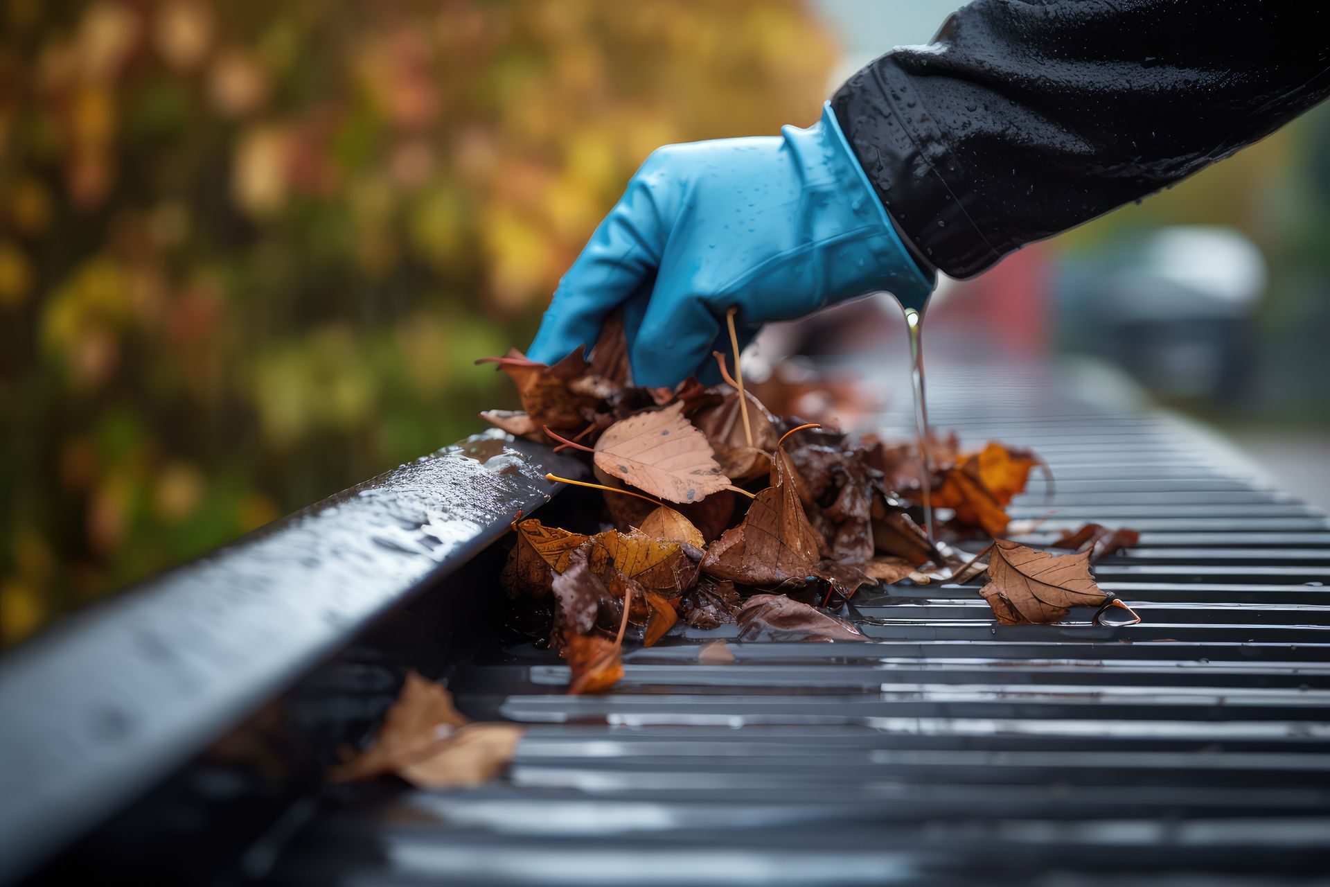 A person wearing blue gloves is cleaning a gutter with leaves.