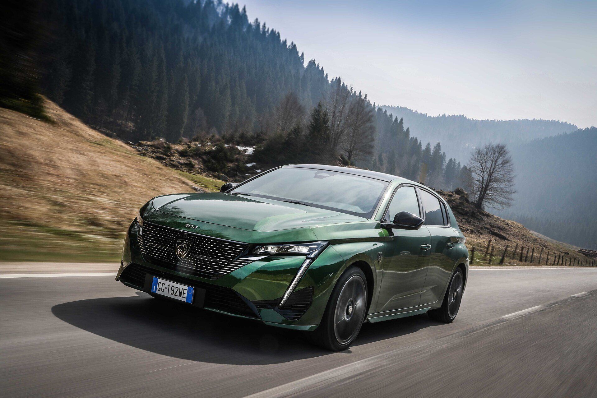 l'auto di verde