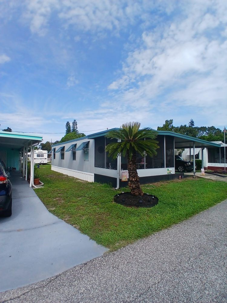 A mobile home with a palm tree in front of it