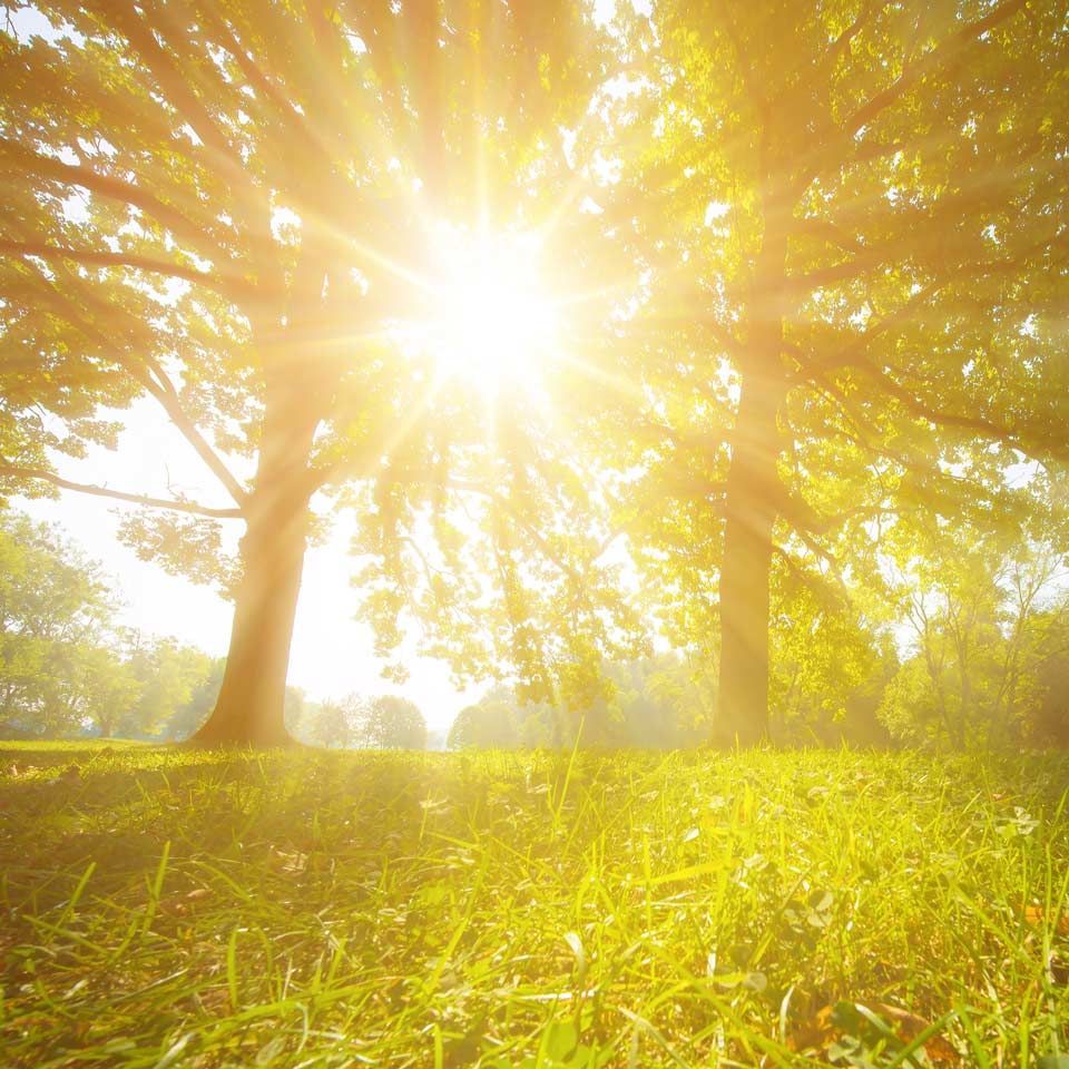 Seele entspannen in der Natur