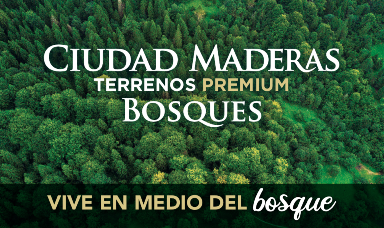 LOTES EN VENTA CIUDAD MADERAS BOSQUES