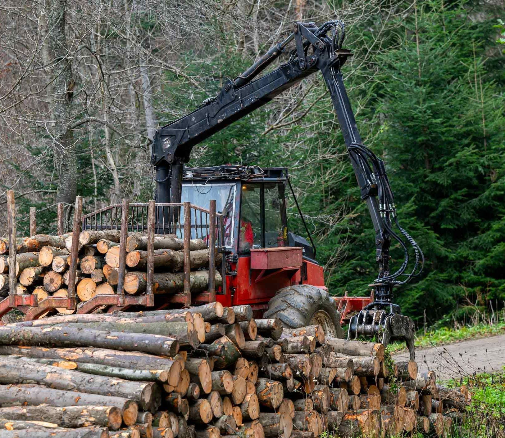 Tractor Forwarder | Hamilton, VIC | Cranix Hydraulics