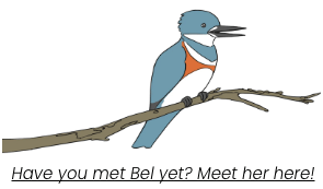 Have you met Bel yet? Meet her here!