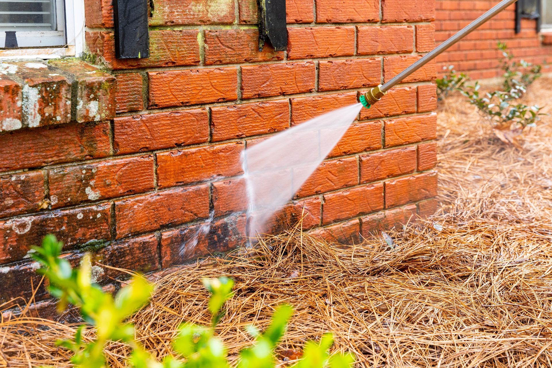 Person spraying water at the base of a red brick wall with a hose