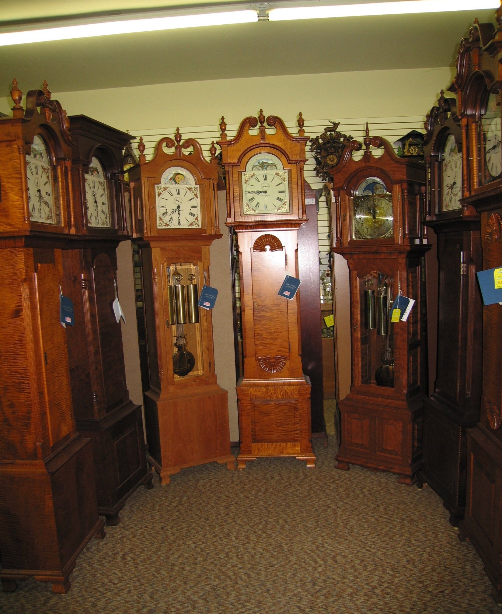 Several grandfather clocks in a showroom, brown wood, with various dial designs, displayed on a brown carpet.