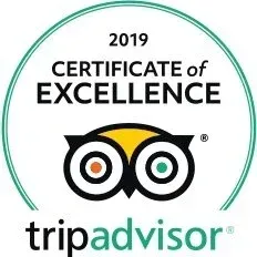 2019 TripAdvisor Certificate of Excellence badge with owl logo and green circular border