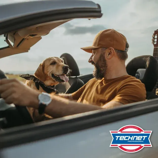 Happy dog and person looking at each other - AK Auto Repair