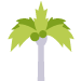 Palm Tree — St. Augustine, FL — Associated Treemasters Palm Tree — St. Augustine, FL — Associated Treemasters