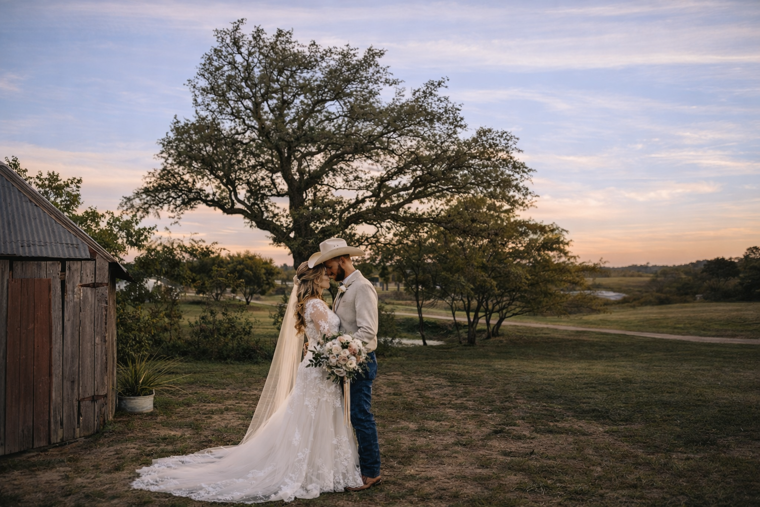 Bride and groom in a field at sunset beside a large live oak tree and barn