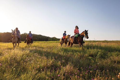 Horse riders crossing a sunlit wildflower meadow at dusk