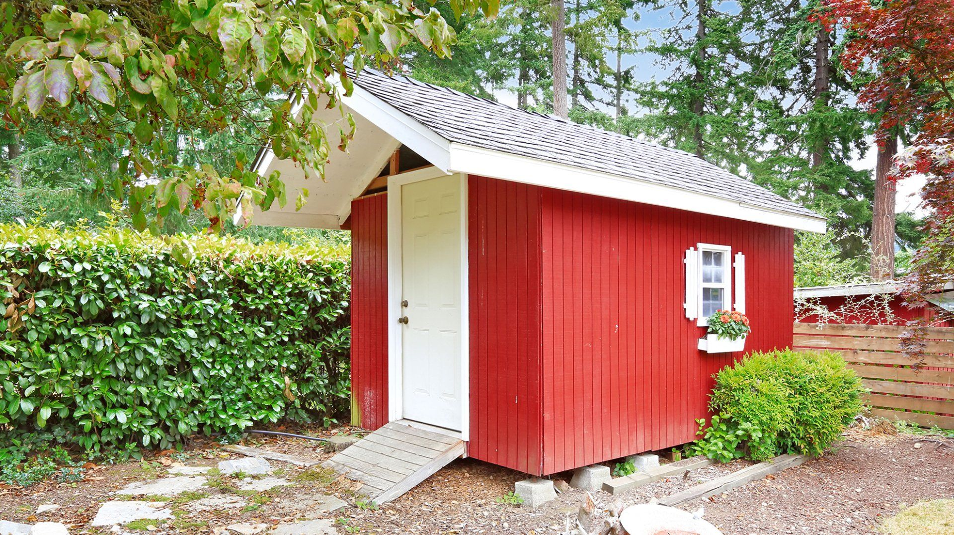 Small red wooden shed with white roof and door in a leafy garden.