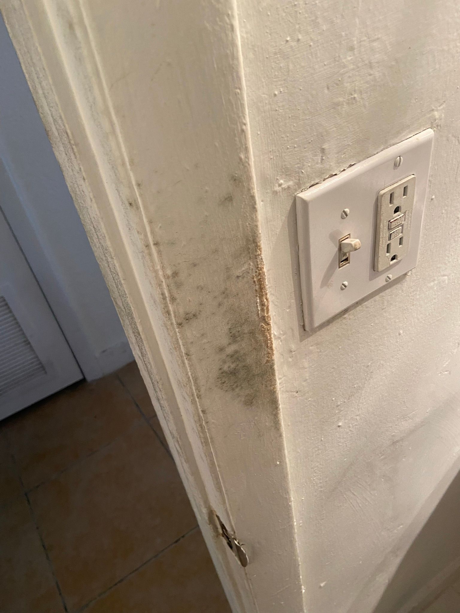 Moldy wall near a light switch and outlet in a room with a tiled floor.