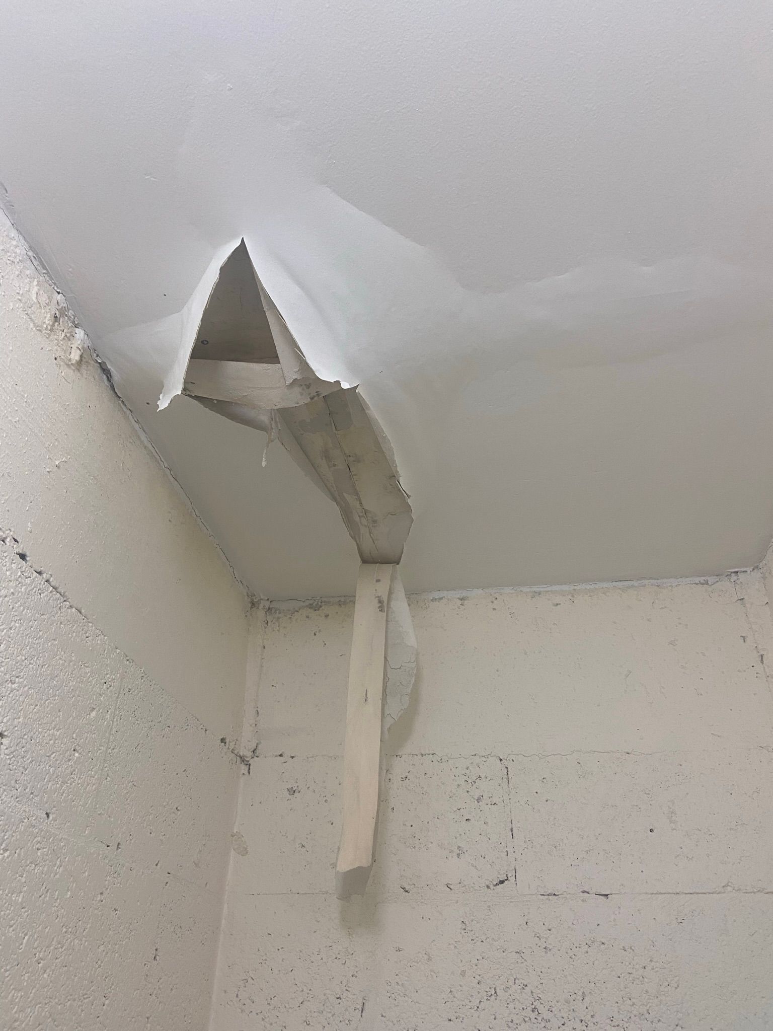 Close-up of damaged wooden studs with black mold and crumbled debris in a construction setting.