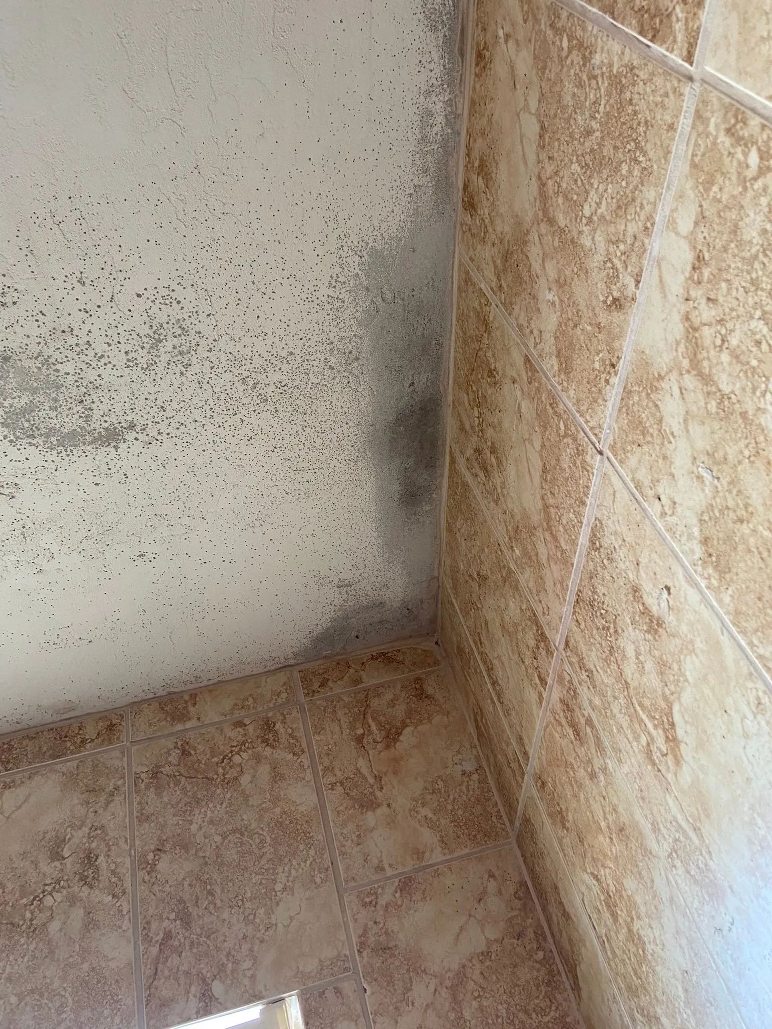 Mold growth on a bathroom ceiling, near tiled wall. The ceiling appears speckled with dark spots and larger patches of discoloration.