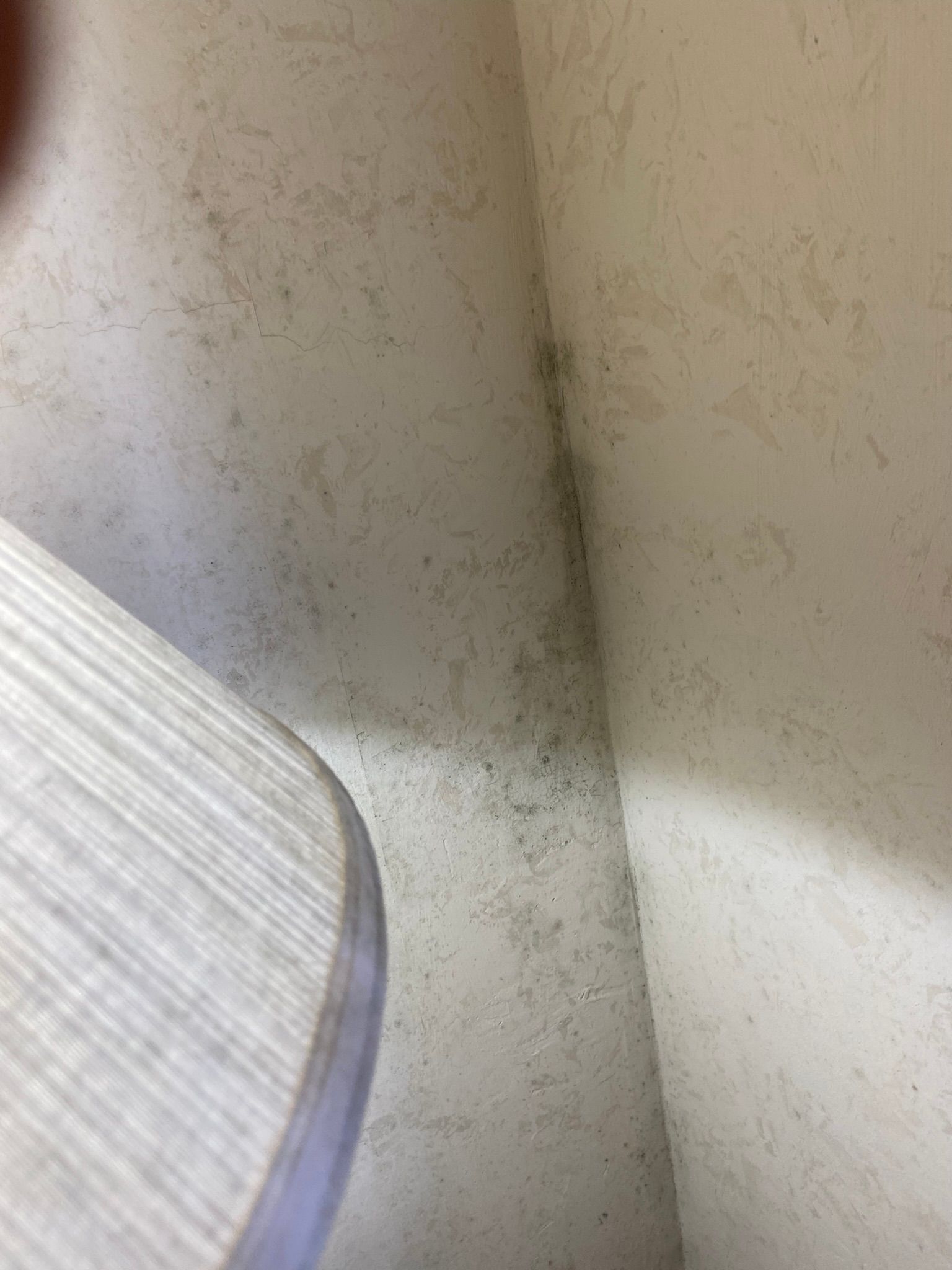 Moldy cabinet interior; dark patches cover walls. Tan tile floor.