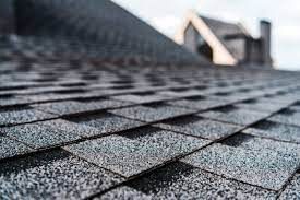 Shingle Roof Cleaning