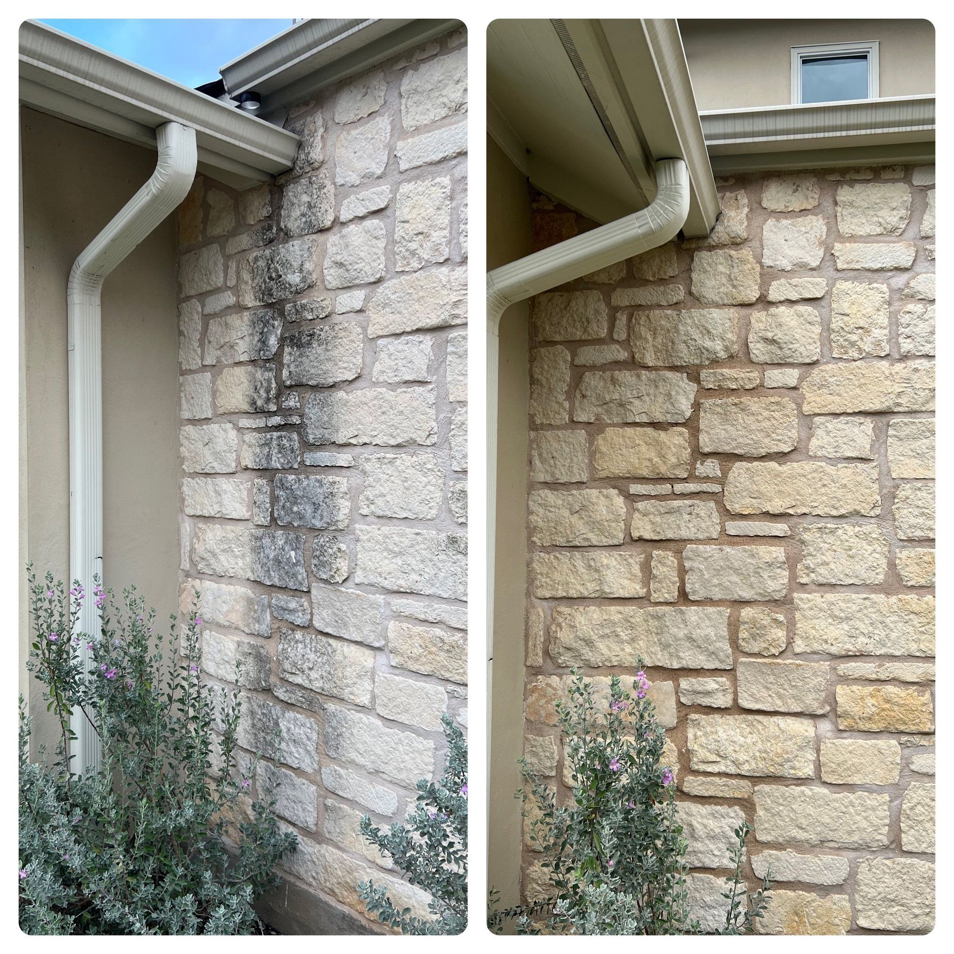 Before and After House Wash