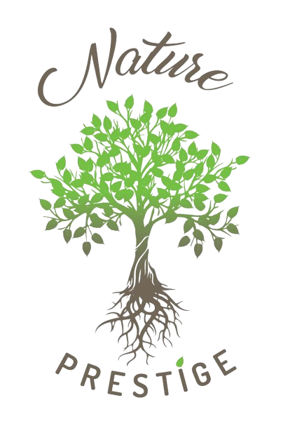 Le logo de nature prestige représente un arbre avec des racines et des feuilles.
