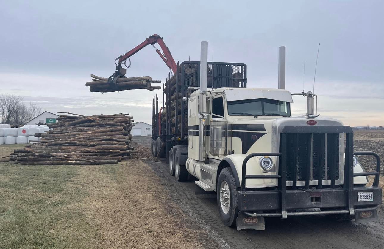 Un semi-remorque transporte des grumes sur un chemin de terre.