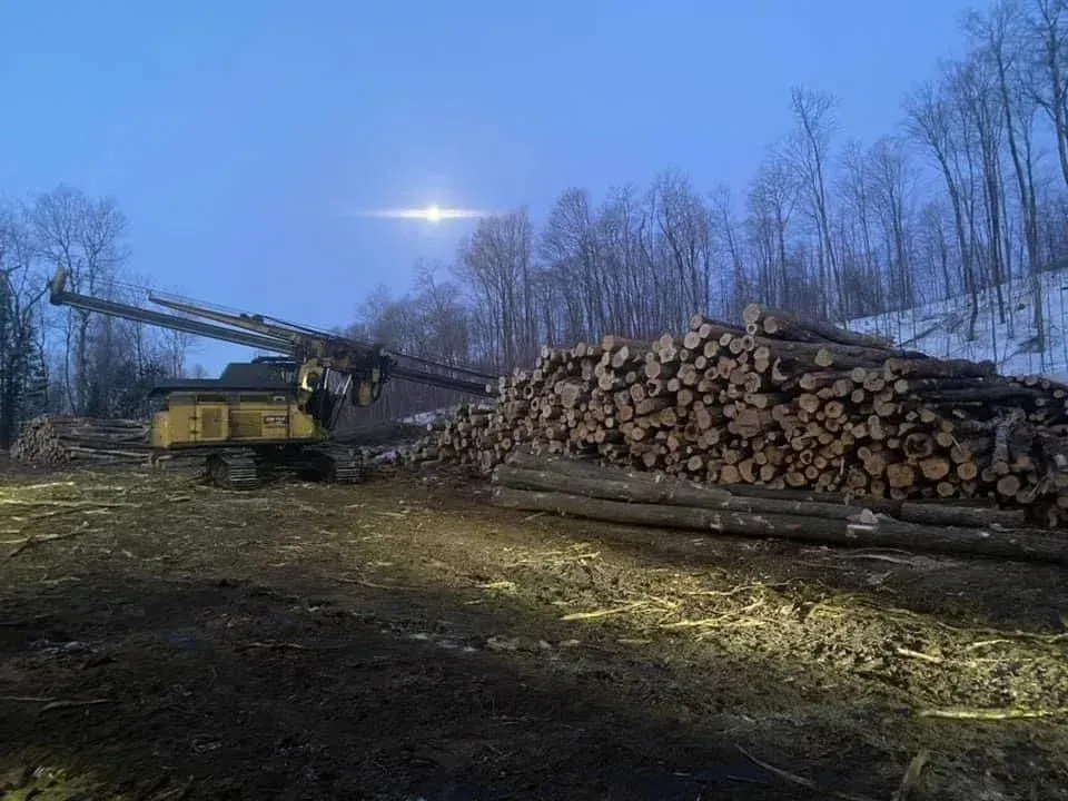 Une grosse pile de grumes est chargée sur un camion.