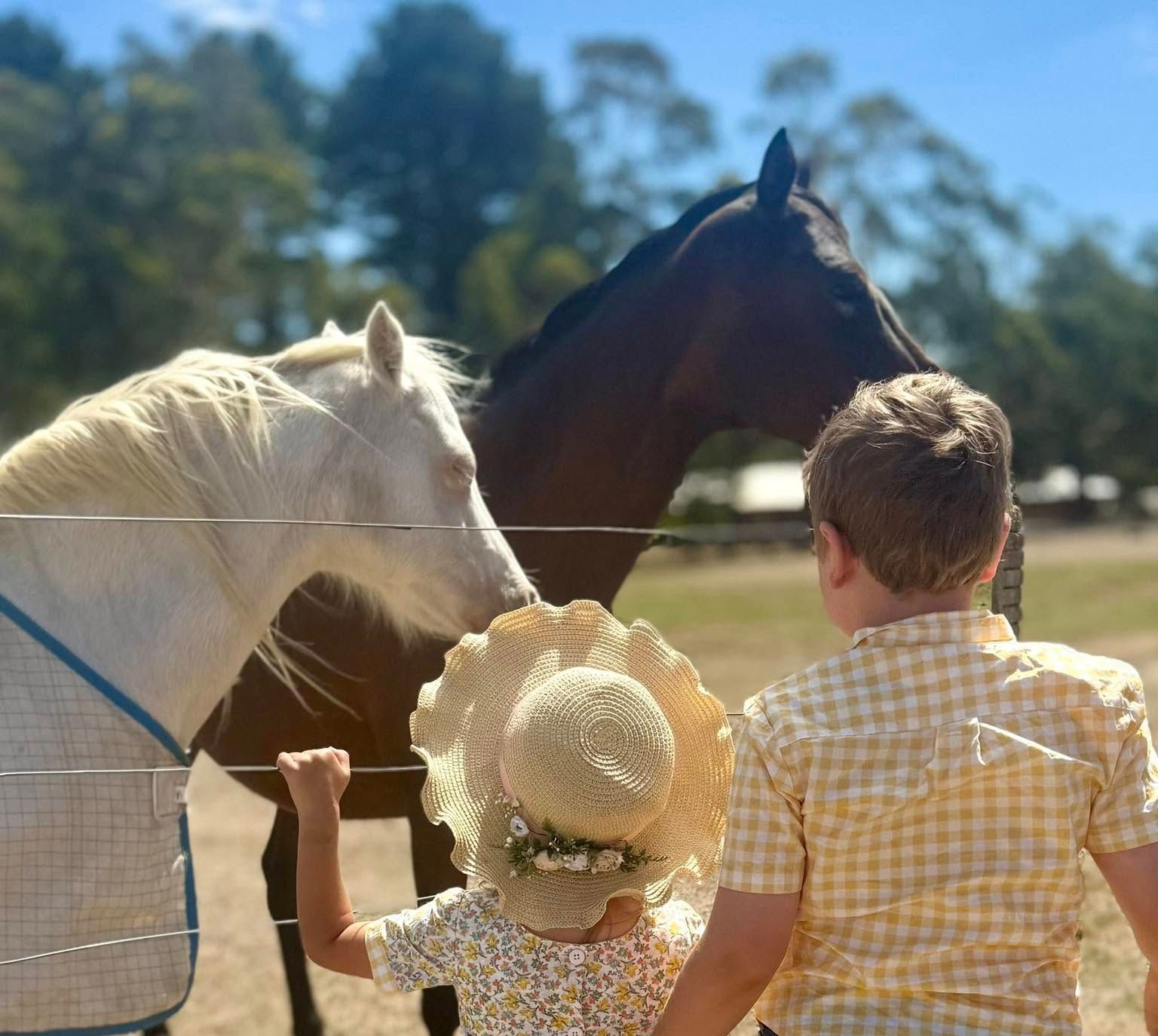 A boy and a girl are looking at two horses behind a fence