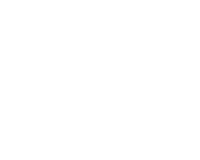 Z Properties Group Logo - Click to go to home page