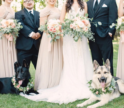 Tulips Floral Design located in Westbrook, CT creates beautiful floral designs for weddings, events and everyday occasions.