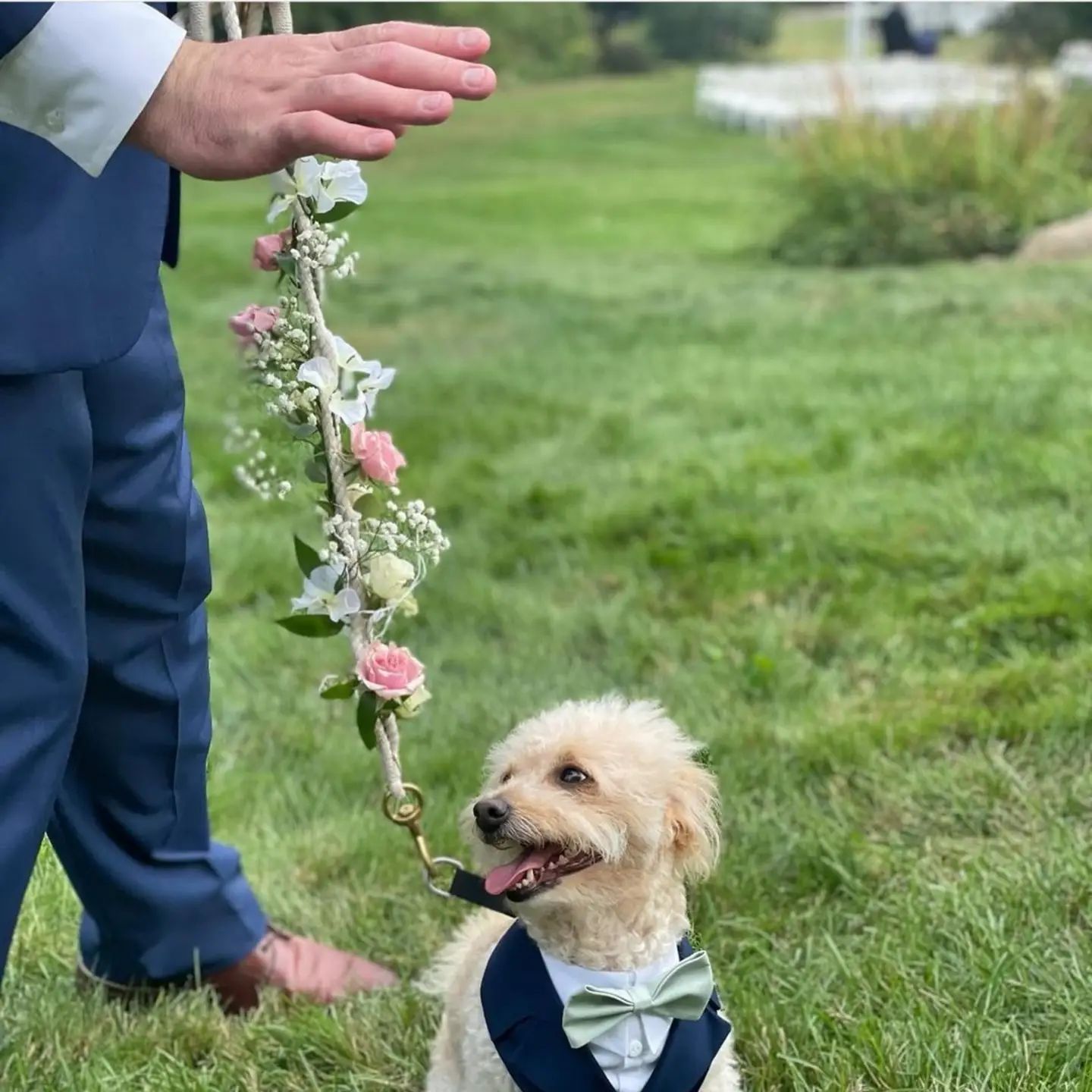 Tulips Floral Design located in Westbrook, CT is the best florist for weddings and events.