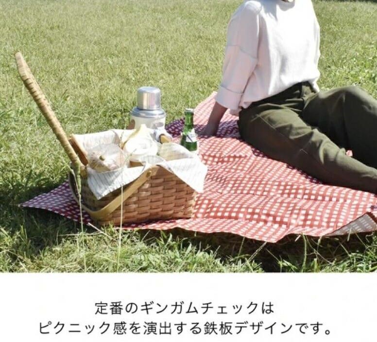 日本 PIATTO 輕量野餐墊 戶外活動  露營 繽紛 格紋 花紋