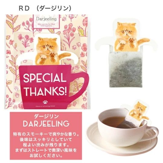 日本 現貨 KKTOWA【KISSA】貓咪紅茶掛耳茶包 貓奴首選