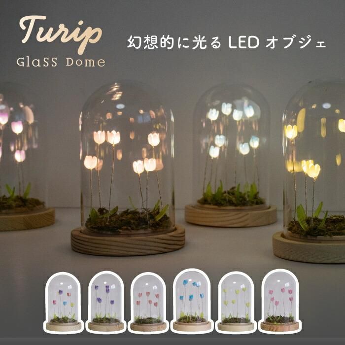 日本 最新人氣   LUMO 鬱金香玻璃罩 LED 燈 (S)