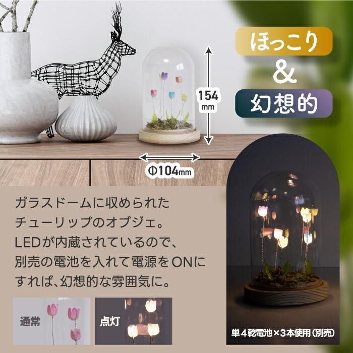 日本 最新人氣   LUMO 鬱金香玻璃罩 LED 燈 (S)