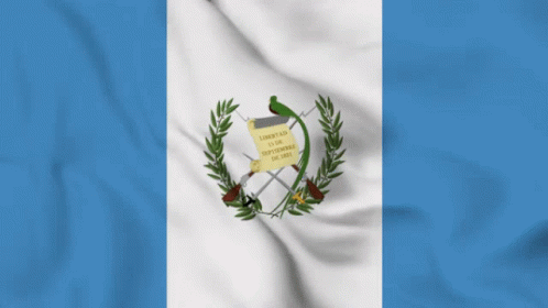 Guatemala flag with blue-white-blue vertical stripes and national emblem centered