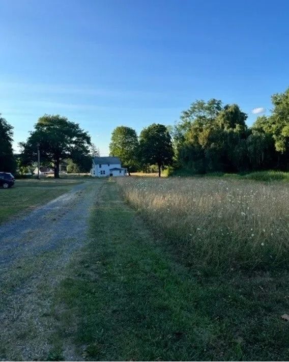 Gravel drive leading to a white house beside tall grass and trees under a clear blue sky.