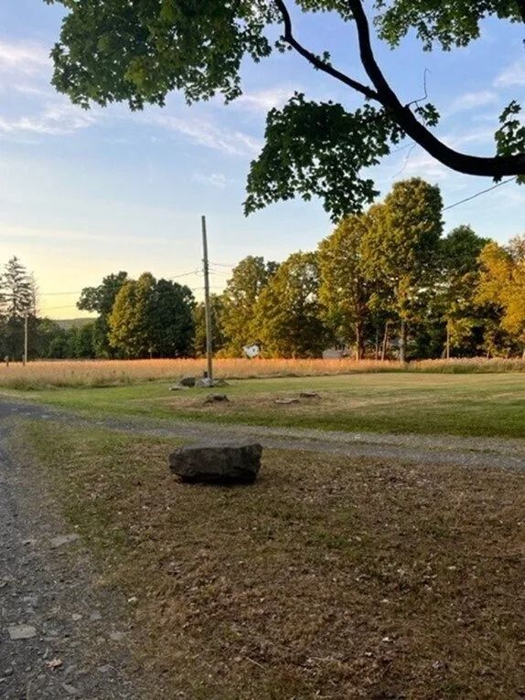 Grassy park at sunset with trees, a dirt path, and a large rock in the foreground