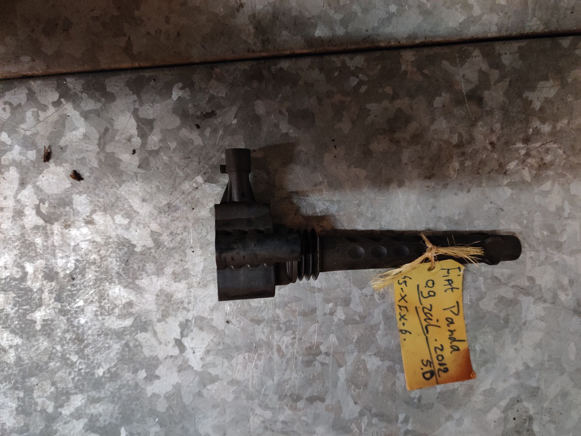 Fiat Panda, Ford Ka, Peugeot 307 bobines, rempedalen, raammotor, zekeringkast Stegeman Autosloperij