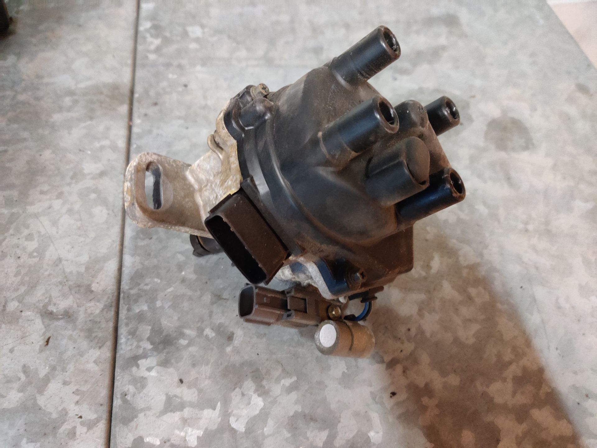Renault Scenic, Nissan Micra, Fiat Panda, Ford Ka,  Golf 5 onderdelen bij www.stegemancarparts.nl