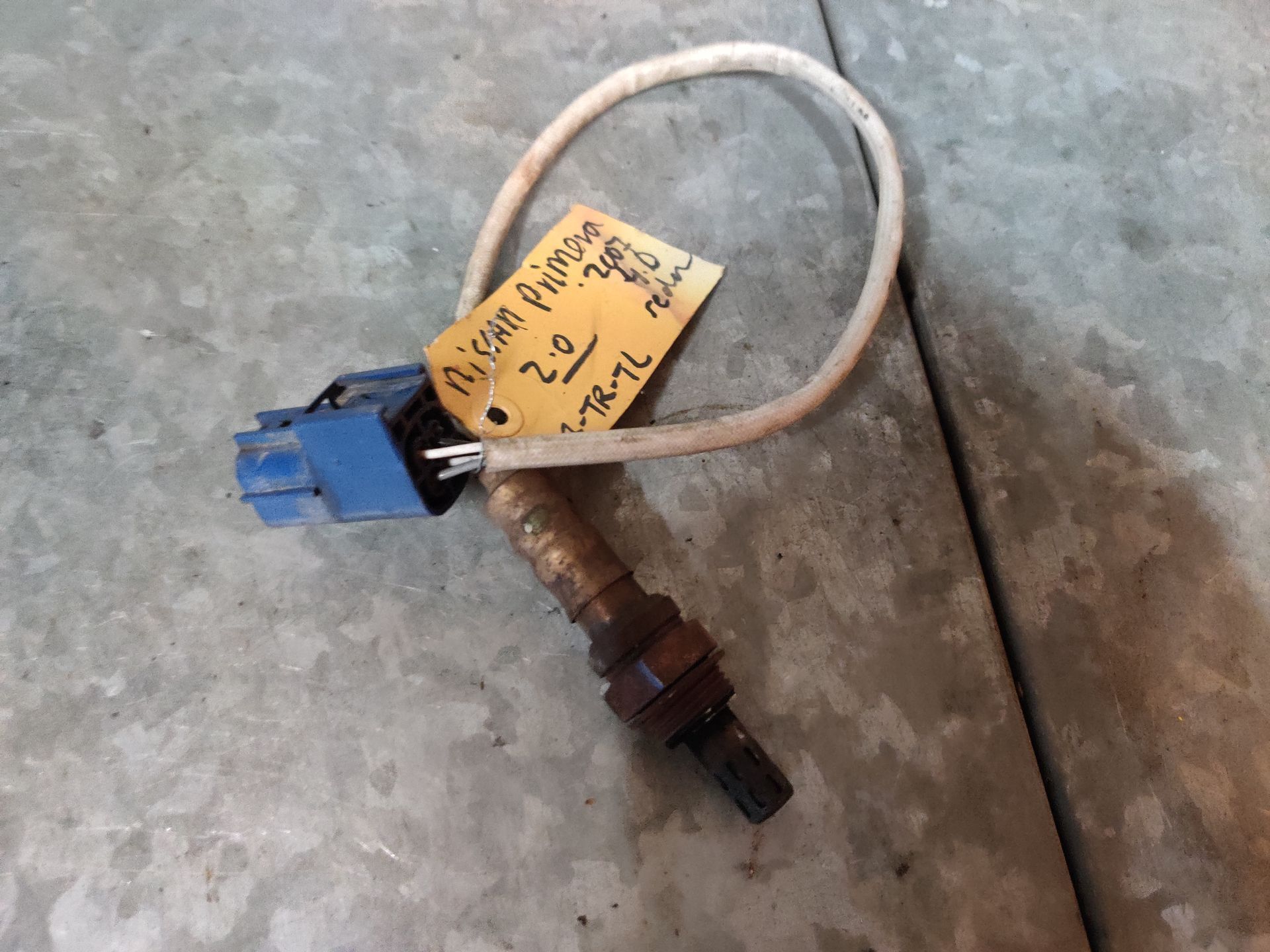 Nissan Primera lambdasonde van een 2.0
