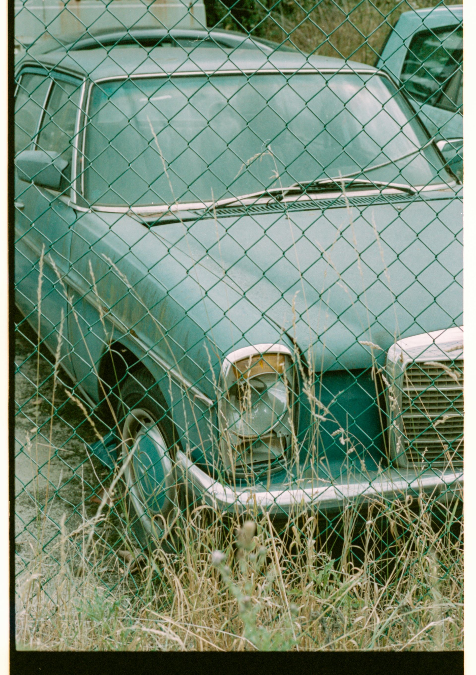 Een verlaten, turquoisekleurige Mercedes-Benz sedan, gedeeltelijk verborgen door hoog, droog gras en een gaashek.