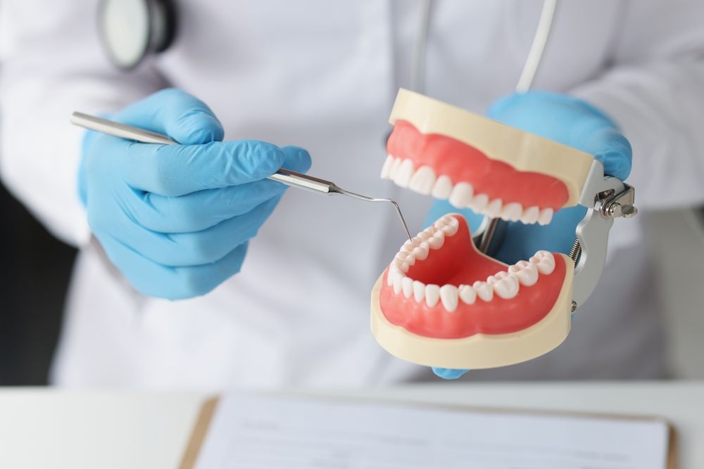 Dentist Examining A Model Of Teeth With A Dental Drill — Aspire Dental in Townsville, QLD