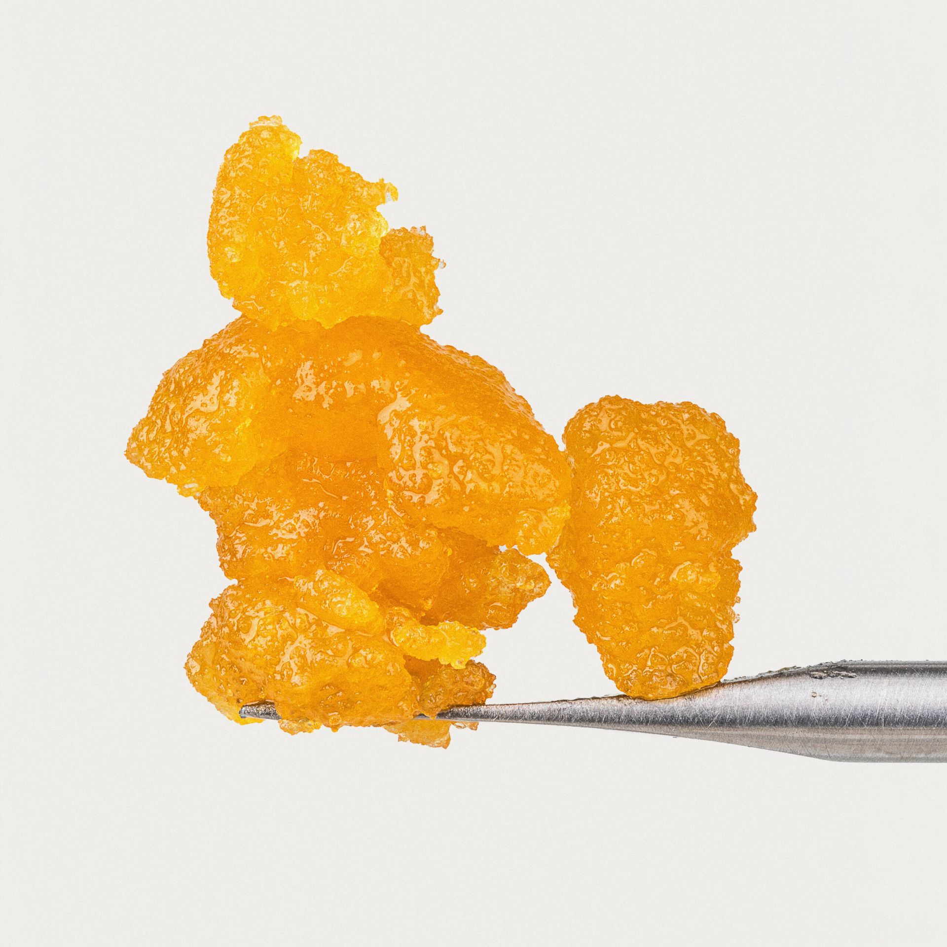 Orange crystalline chunks held by metal tweezers on a white background